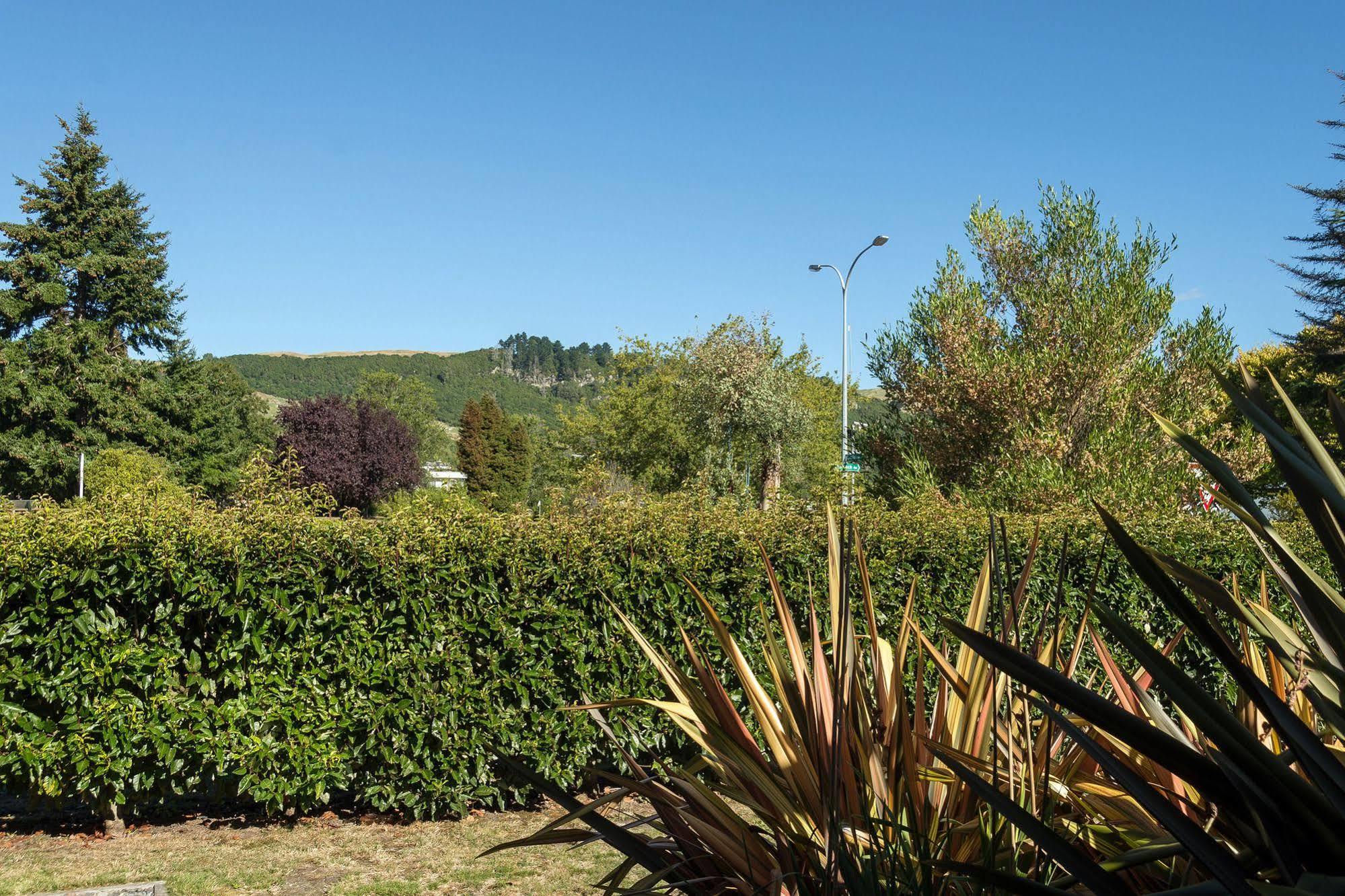 Lupin Lodge Bed & Breakfast Taupo Exterior foto